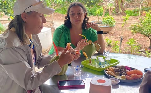 Private Mekong Delta Orchard Tour from Ho Chi Minh City