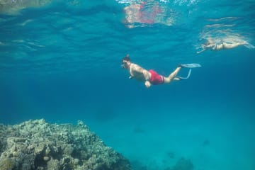 Snorkeling and Mini Cruise at Orange Bay in Hurghada