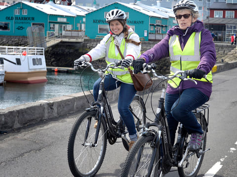 Coast of Reykjavik Private Bike Tour, photo 2