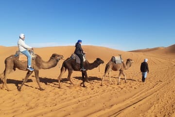 Overnight Camel Ride in Erg Chebbi Desert from Errachidia