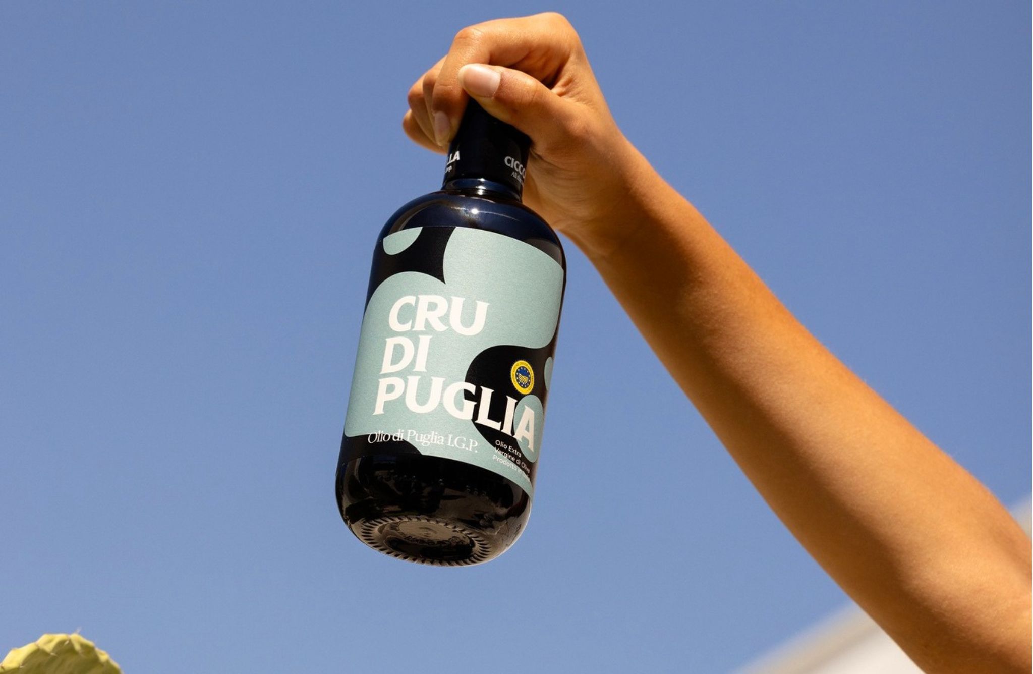 Olive Oil Mill Tour with Tasting near Molfetta & Bari