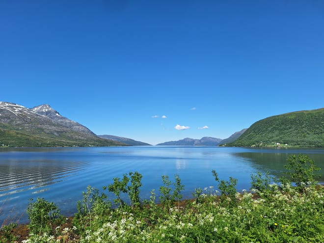 Tromsø: Scenic Fjords & Islands Roadtrip — Small Group Tour 5