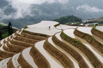 Longji Rice Terraces and Minority Village Cultural Tour