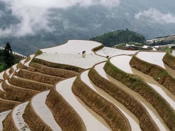 Longji Rice Terraces and Minority Village Day Tour