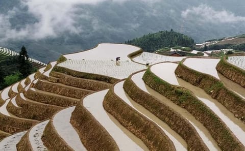 Longji Rice Terraces and Minority Village Cultural Tour