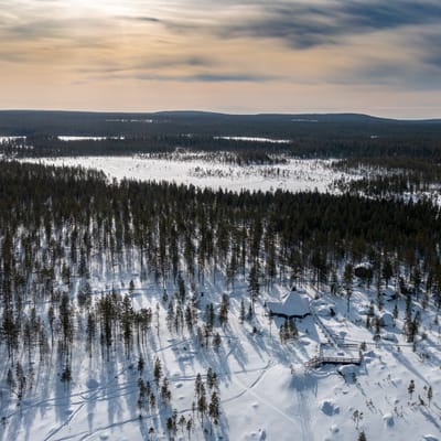 Sähkömoottorikelkkasafari Rovaniemellä - Image 4