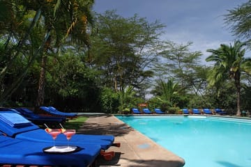 Day Trip to Lake Nakuru National Park from Nairobi