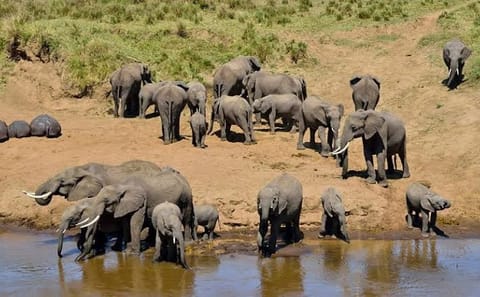 7-Day Kilimanjaro Marangu Trek & Wildlife Safari