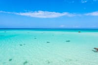 Experience Zanzibar’s clear, calm waters—the perfect backdrop for swimming, snorkeling, and pure island relaxation.