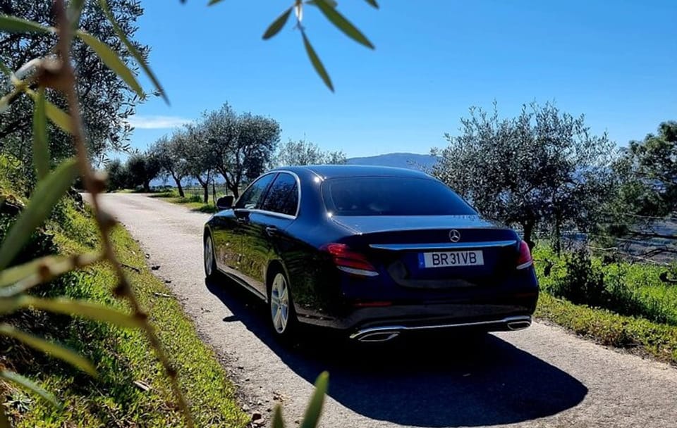 DOURO VALLEY & AMARANTE: Scenic or Wine Experience Private Tour