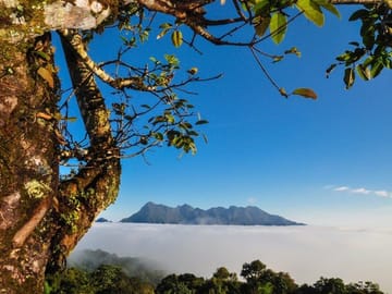 Treasures of Thailand 4 Days, Small Group Tour (English Only)