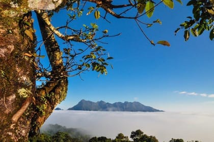 North Thailand Highlights, Small Group Tour (Other Languages)