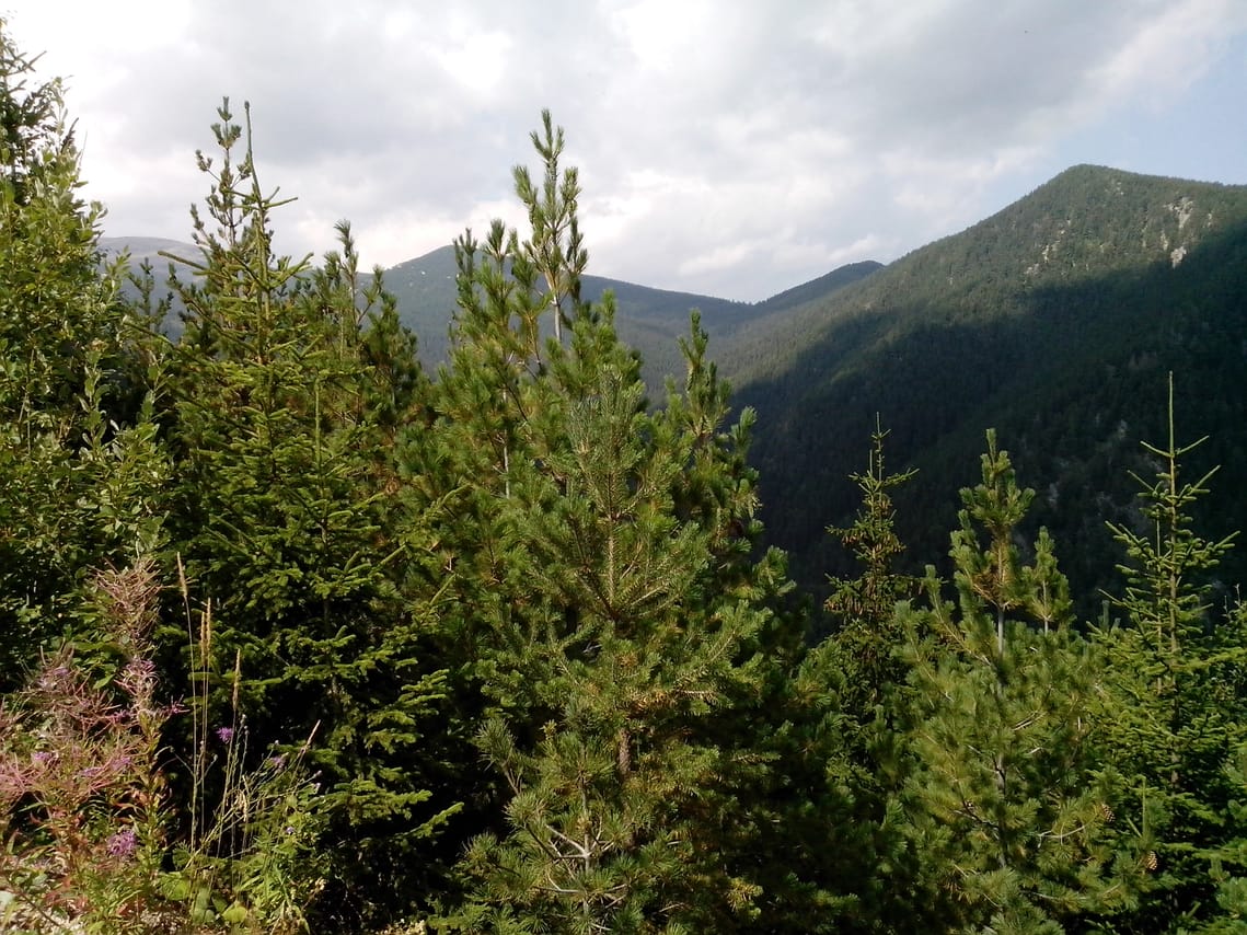 Private Vitosha Mountains Hiking with Black peak & Dragalevtsi Monastery 9