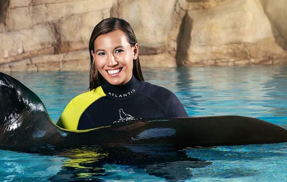 Sea Lion Interaction Experience in Dubai