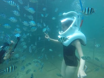Sea Trek