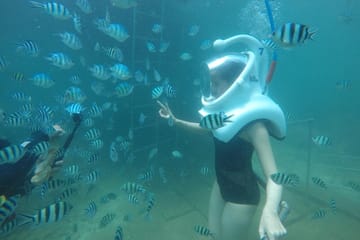 Cham Islands Full-Day Cruise with Underwater Walking from Hoi An