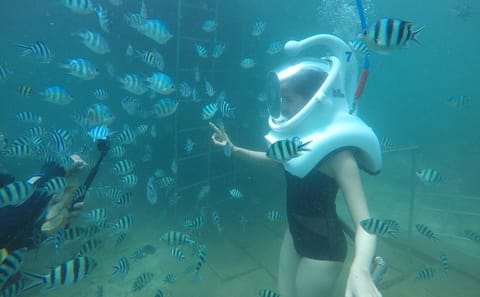 Cham Islands Full-Day Cruise with Underwater Walking from Hoi An