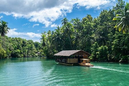 Bohol Countryside Tour: Discover Tarsiers, Chocolate Hills & Loboc River Cruise