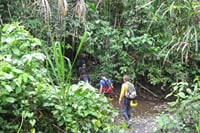 3-Day Manu National Park Tour from Cusco 9