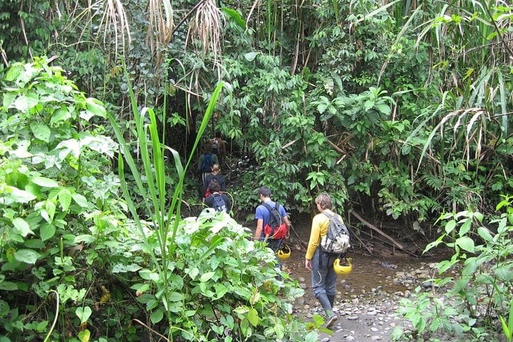 3-Day Manu National Park Tour from Cusco 9