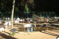 Bird Park