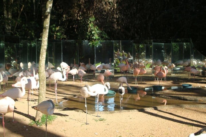Bird Park