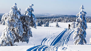 Snowshoe Trip on Scenery Mountain