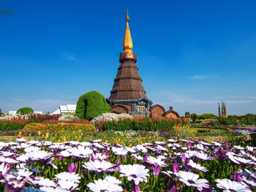 Chiang Mai to Doi Inthanon Guided Nature Trail and Elephant Tour