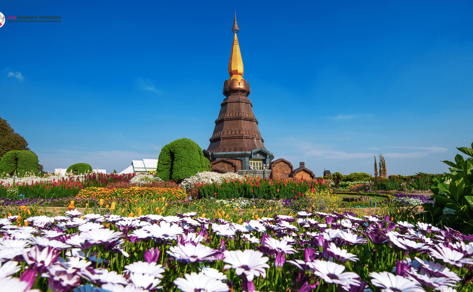 Chiang Mai to Doi Inthanon Guided Nature Trail and Elephant Tour