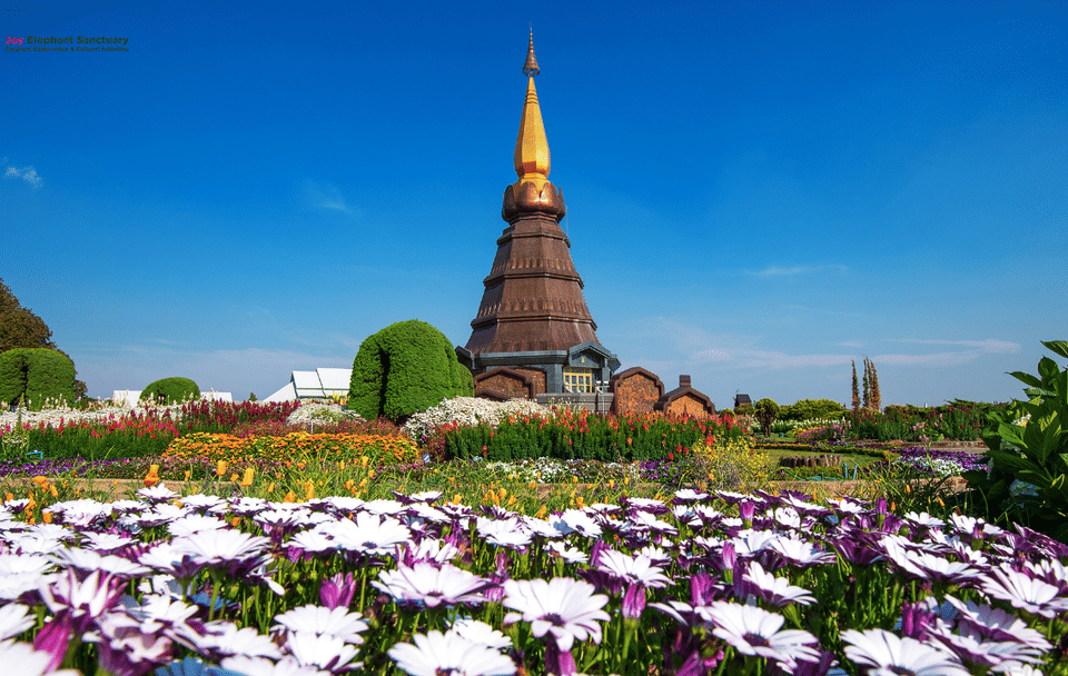Chiang Mai to Doi Inthanon Guided Nature Trail and Elephant Tour