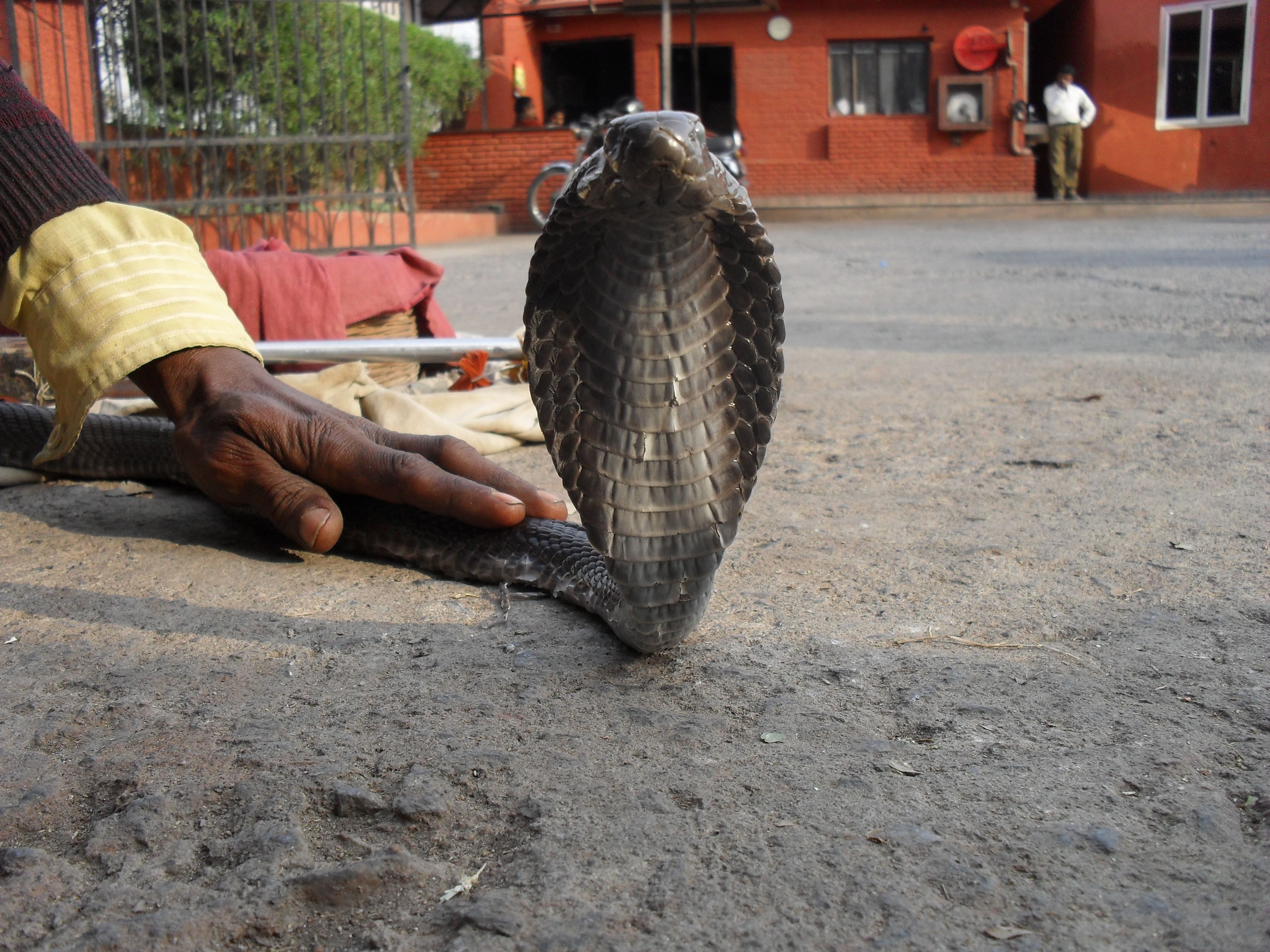  India Tour 13 days Go and Joy Travel 