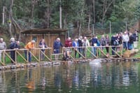 Private VIP Half-Day 4X4 Tour: East or West 8