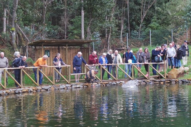Private VIP Half-Day 4X4 Tour: East or West 8