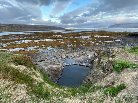 Isafjordur and Westfjords Private Tour, photo 12