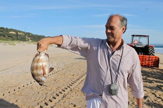 Private Traditional Fisherman's day from Lisbon, in Setúbal