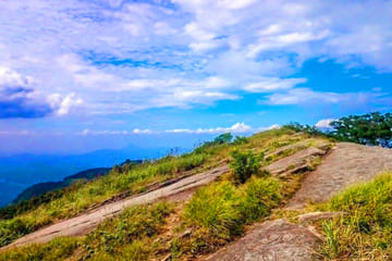 James Taylors Tea Story Tour from Kandy