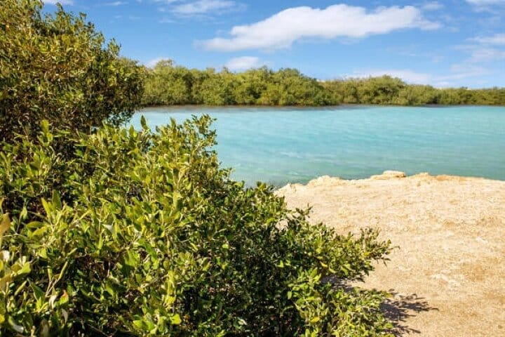 Private Half Day Tour By Minibus To Ras Mohammed National Park  5