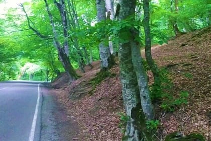 Discover Pankisi: Duisi, Akhmeta & Khadori Adventure