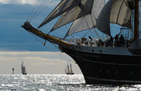 Follow the Parade of Sails on Sunday 7.7. 2024@ 11:30