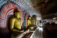 Hightlight Sri Lanka - 10N/11D 2