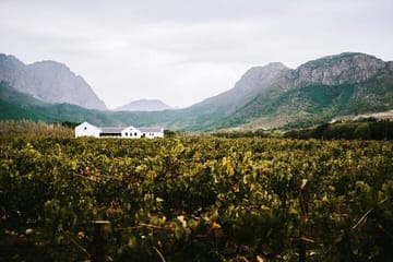 Franschhoek Wine Tram Hop-On Hop-Off Tour from Cape Town