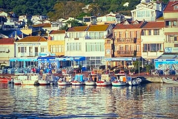 Private Bike and Bus Tour of Istanbul's Princes' Islands