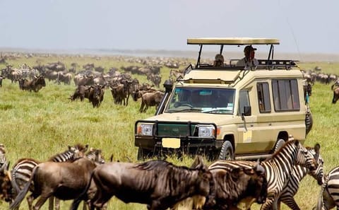 3-Day Amboseli and Tsavo West National Park Safari from Nairobi
