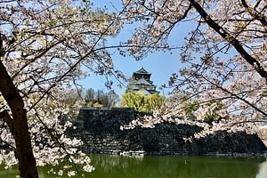 Half-Day Private Guided Tour to Osaka Castle