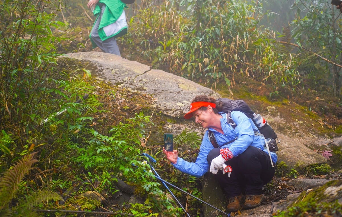 Fansipan Mountain Trekking 2 days 1 night