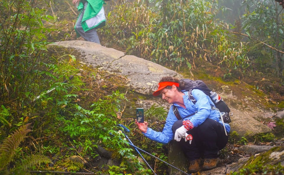 Two-Day Fansipan Mountain Trekking from Hanoi to Sapa