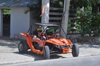 Horseback Riding, Buggies, and Beach Escape Amber cove Taino Bay 3
