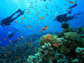 Scuba Diving and Snorkeling Trip in Side
