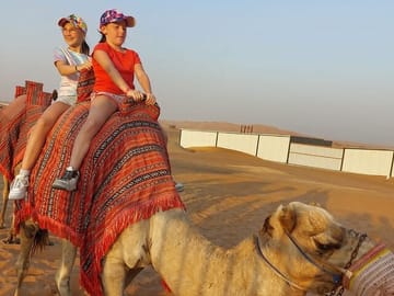 Camel Ride