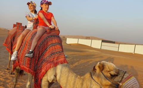Ras al-Khaimah Desert Safari with Camel Ride and BBQ Dinner